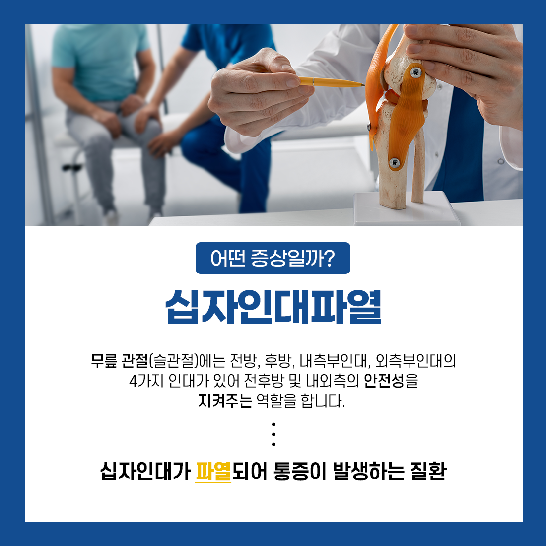 십자인대파열 증상 설명