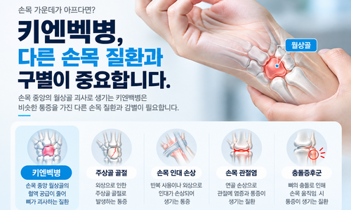 키엔벡병 헷갈리는 질환과 구별법 — 같은 부위 다른 질환, 구별 포인트를 정리했습니다. 전주수병원 정형외과 김태영 과장